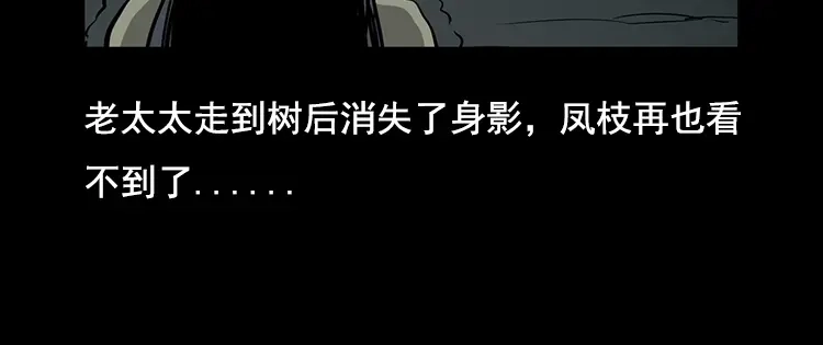 《三老爷诡事会》花柳树 第67页