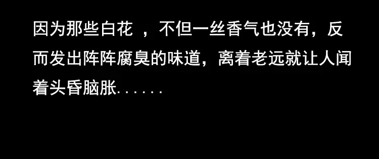 《三老爷诡事会》花柳树 第128页