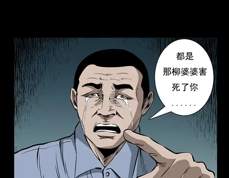 《三老爷诡事会》花柳树 第12页