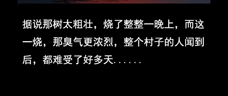 《三老爷诡事会》花柳树 第132页