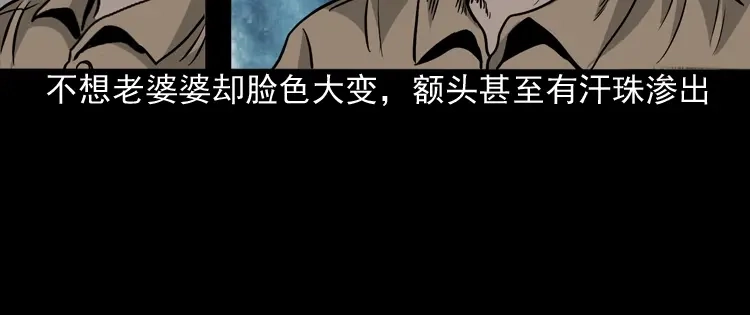 《三老爷诡事会》布鞋 第71页
