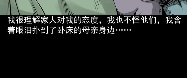 《三老爷诡事会》回家 第87页
