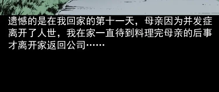 《三老爷诡事会》回家 第97页