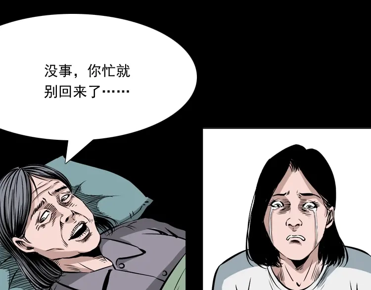 《三老爷诡事会》回家 第88页