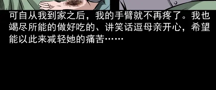 《三老爷诡事会》回家 第95页