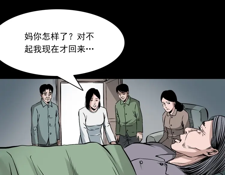 《三老爷诡事会》回家 第86页
