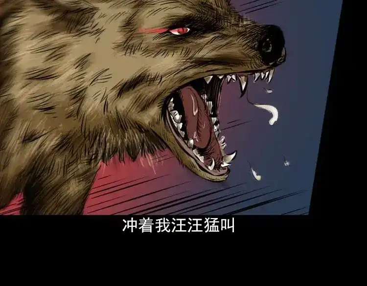 《三老爷诡事会》阴婆婆 第151页