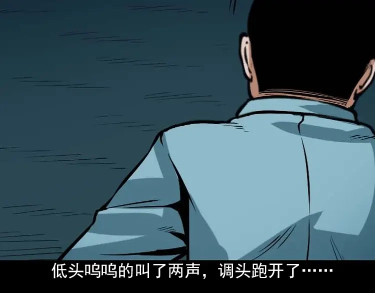 《三老爷诡事会》阴婆婆 第162页