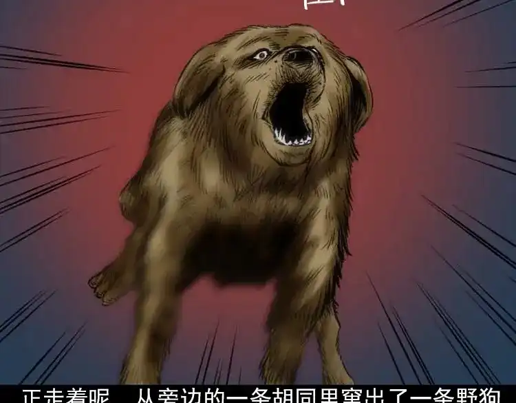《三老爷诡事会》阴婆婆 第146页