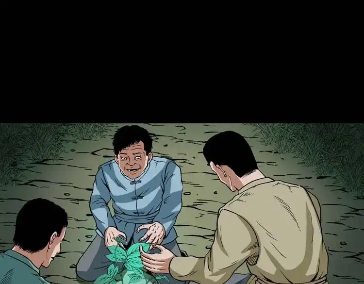《三老爷诡事会》妖龙 第58页