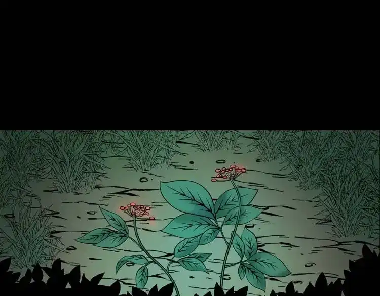 《三老爷诡事会》妖龙 第56页