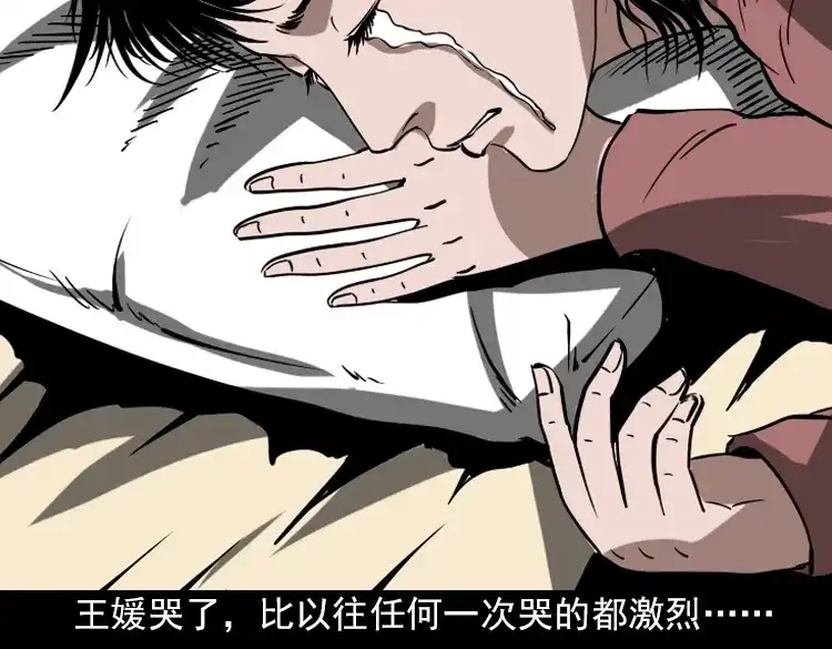 《三老爷诡事会》执念 第219页