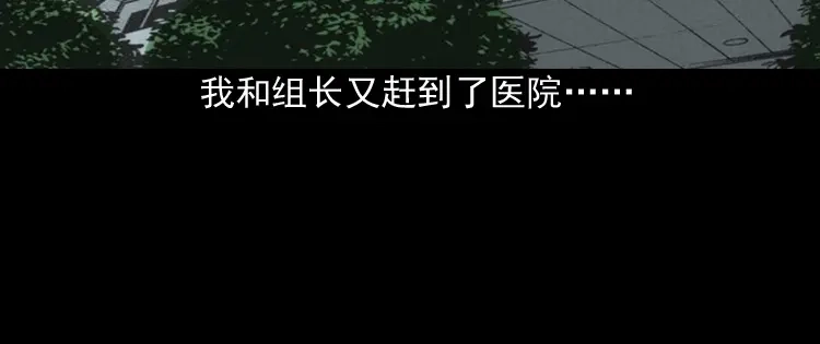 《三老爷诡事会》真相 第17页