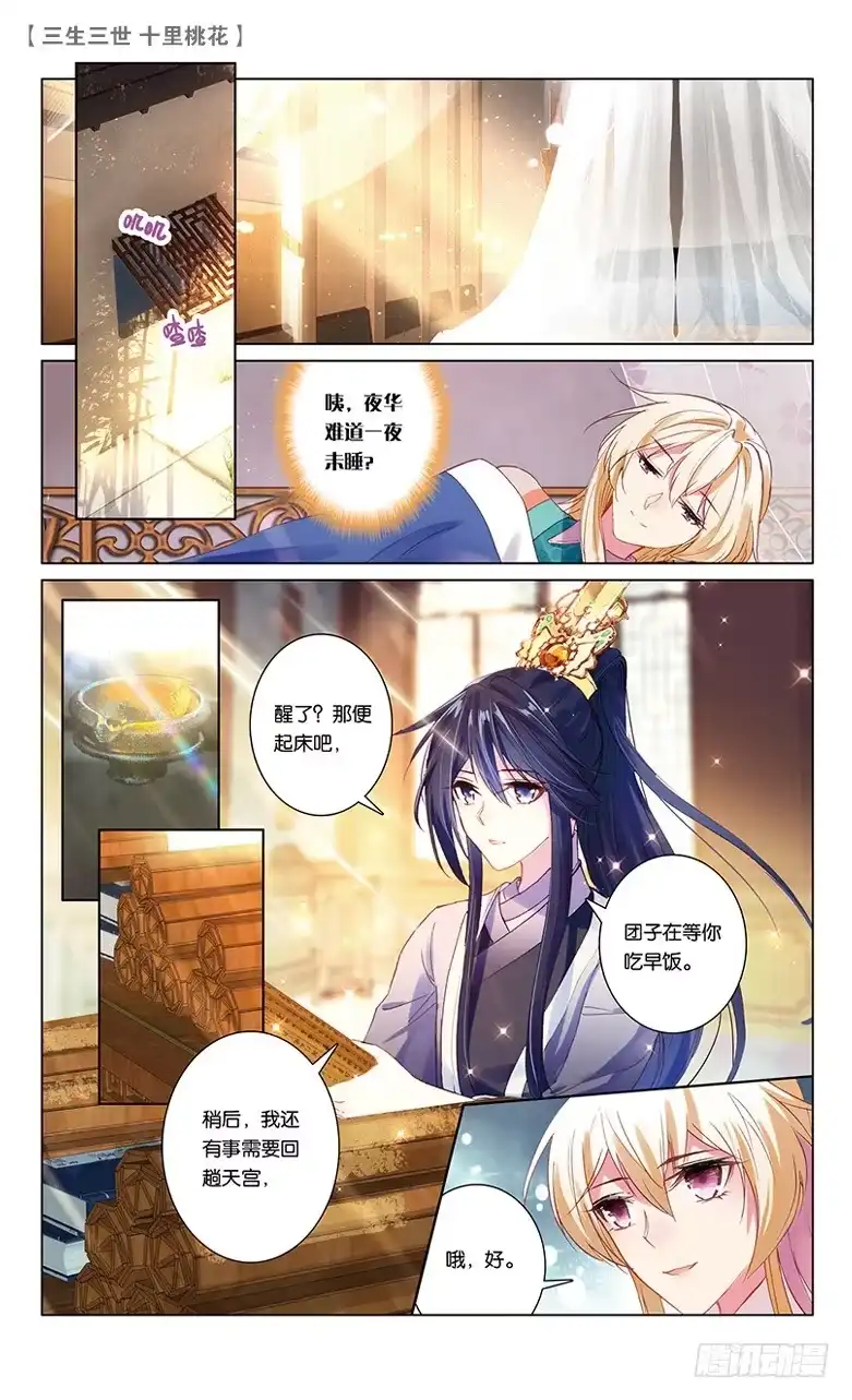 三生三世 十里桃花 49 少辛索愿（上） 第6页