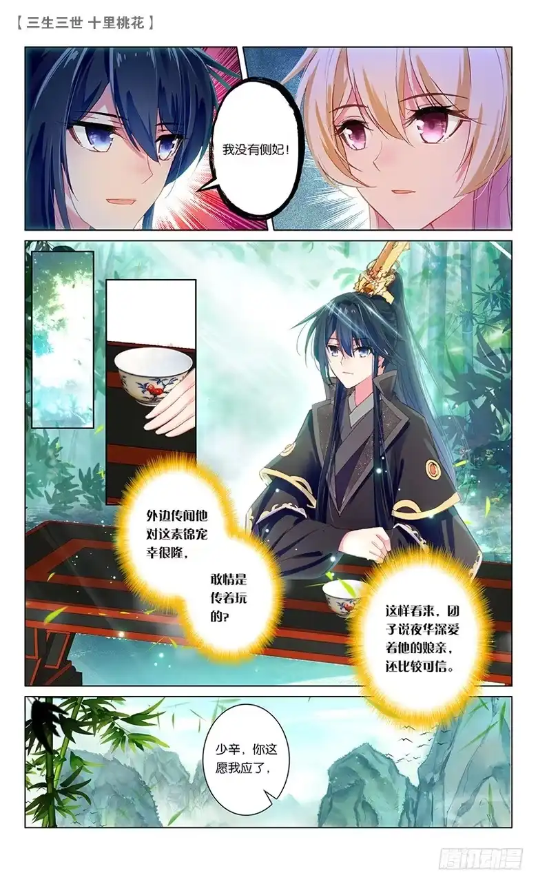 三生三世 十里桃花 51 少辛索愿（下） 第4页