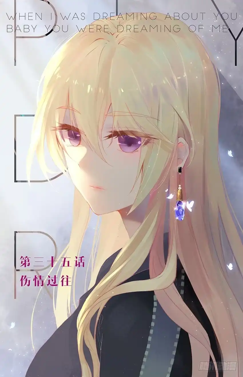 三生三世 十里桃花 94 伤情过往（上） 第1页