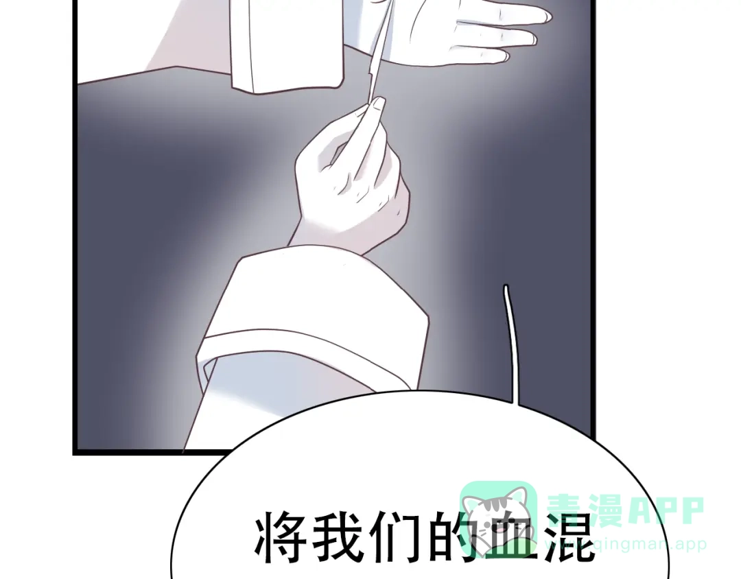 《色彩魔法使雪莉》完结篇 恢复色彩 第91页