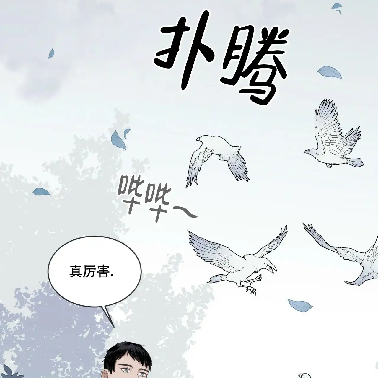 《森林之海》第5话 第43页