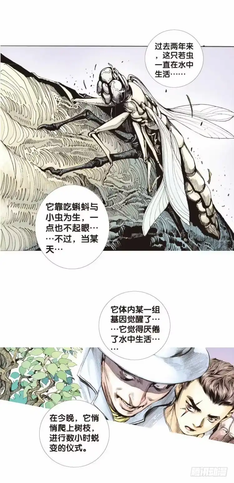 《杀道行者》第二十六回：阿信的梦（三） 第8页