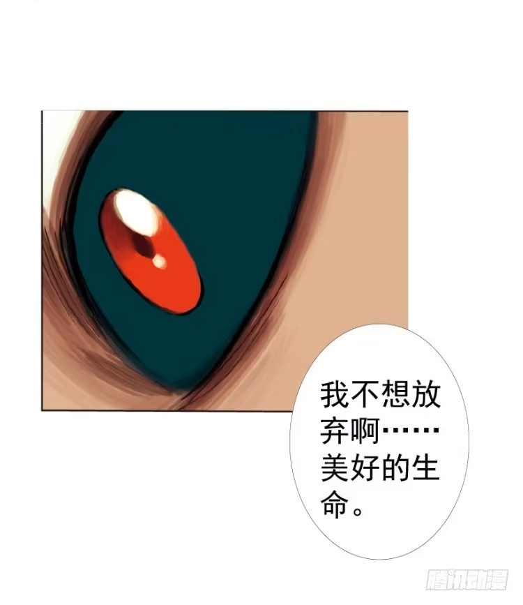 《杀道行者》第312话：终结者（上） 第24页