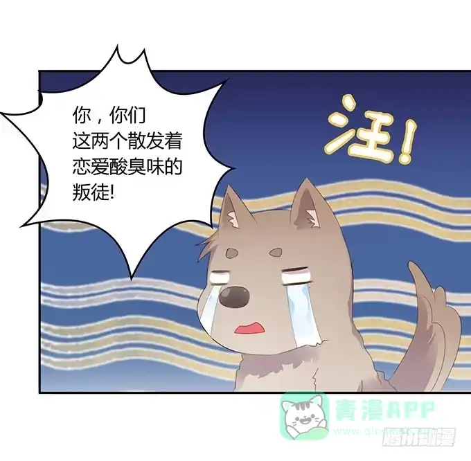 《上吧！女主播》情人节的蜜汁心动 第6页