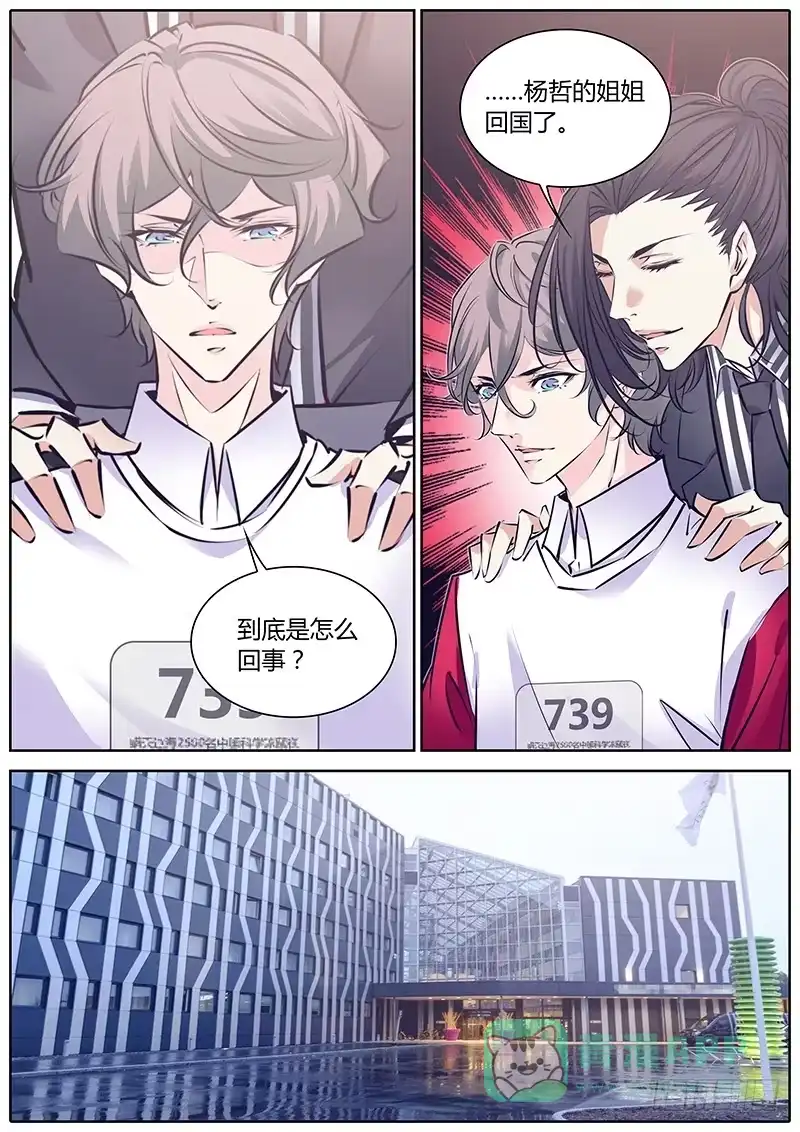 《上位守则》67.谁干的？ 第11页