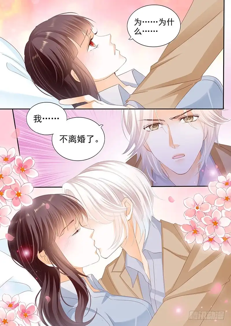 《闪婚娇妻》我不会和你离婚 第11页