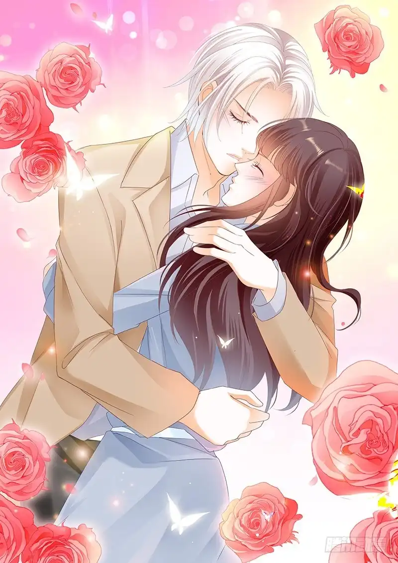 《闪婚娇妻》我不会和你离婚 第12页