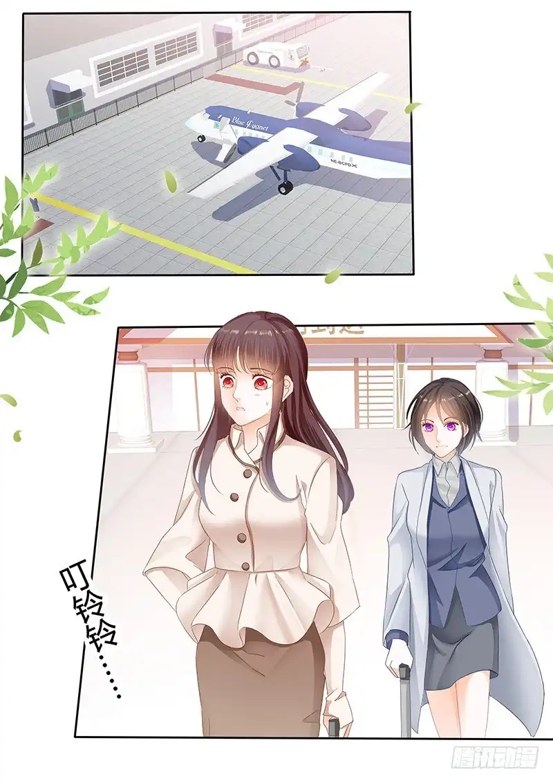 《闪婚娇妻》一个女人为什么会忽然生气 第1页