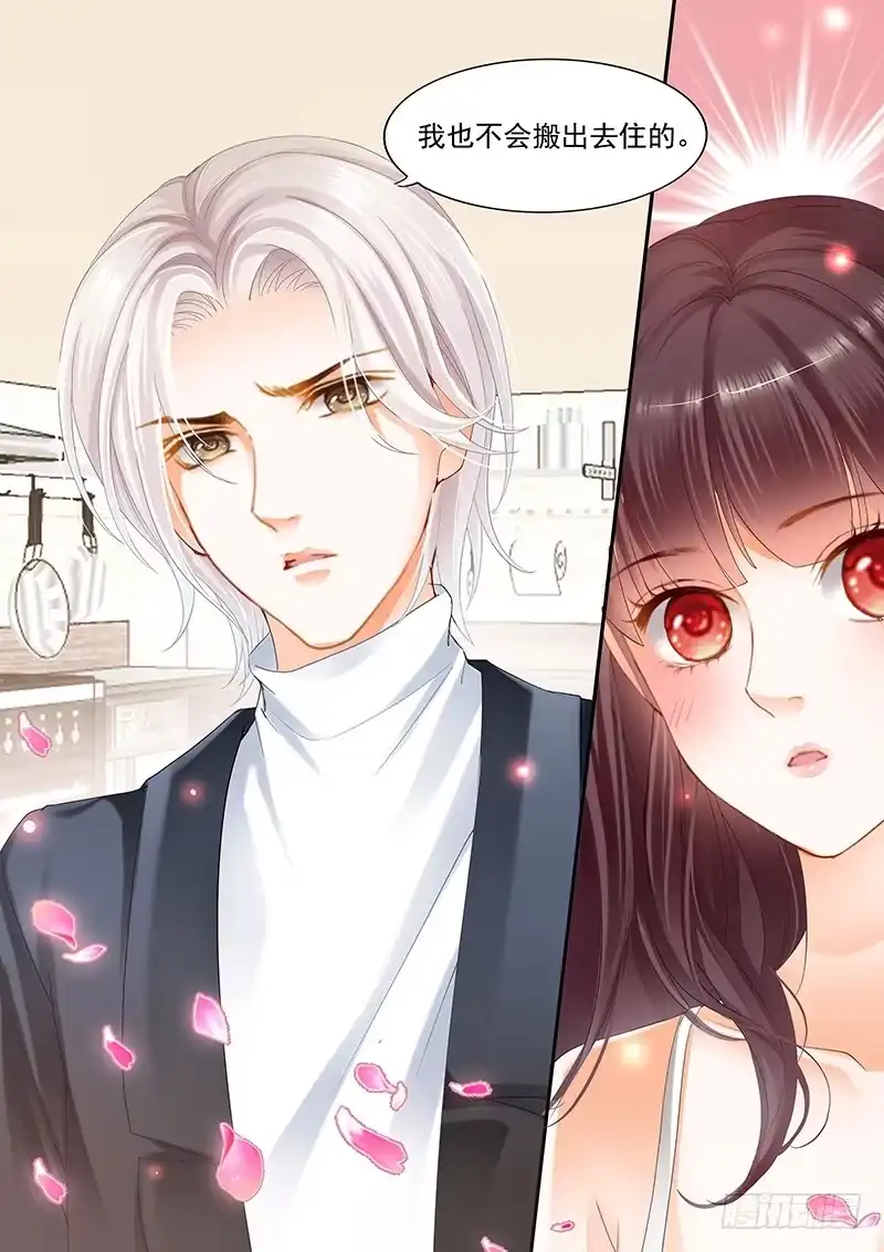 《闪婚娇妻》我不会搬出去的 第15页