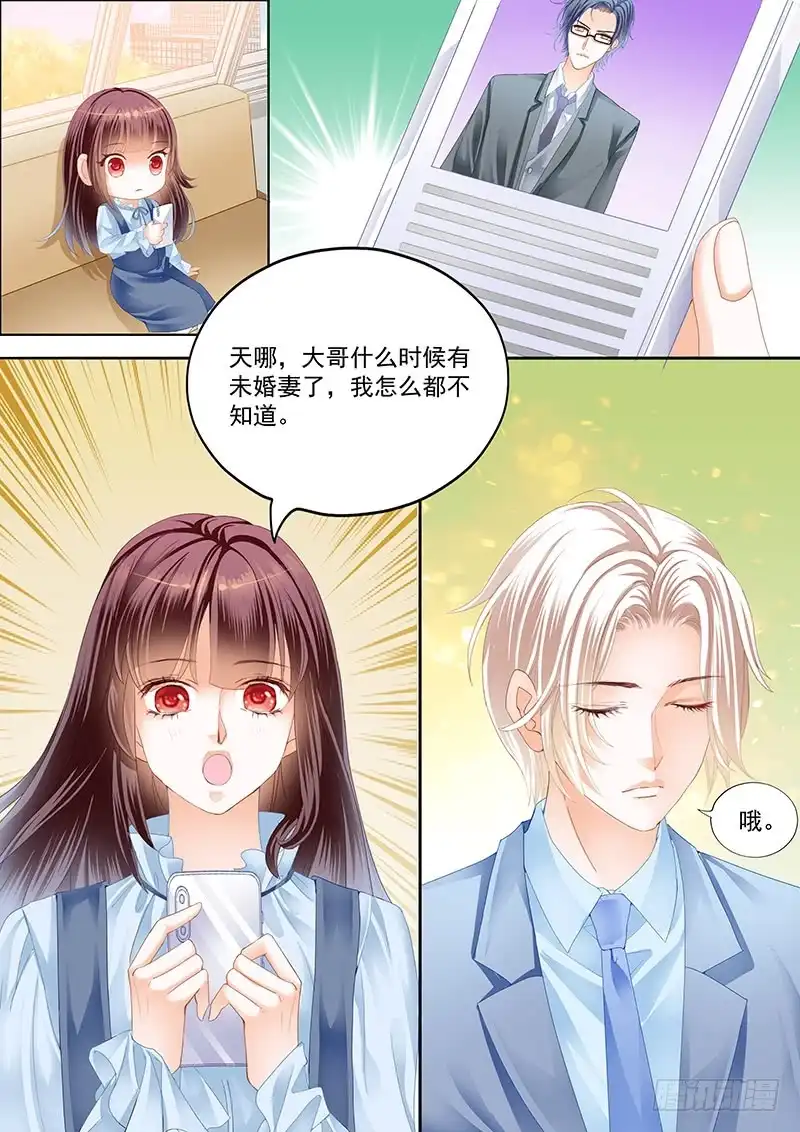 《闪婚娇妻》总统要结婚 第7页