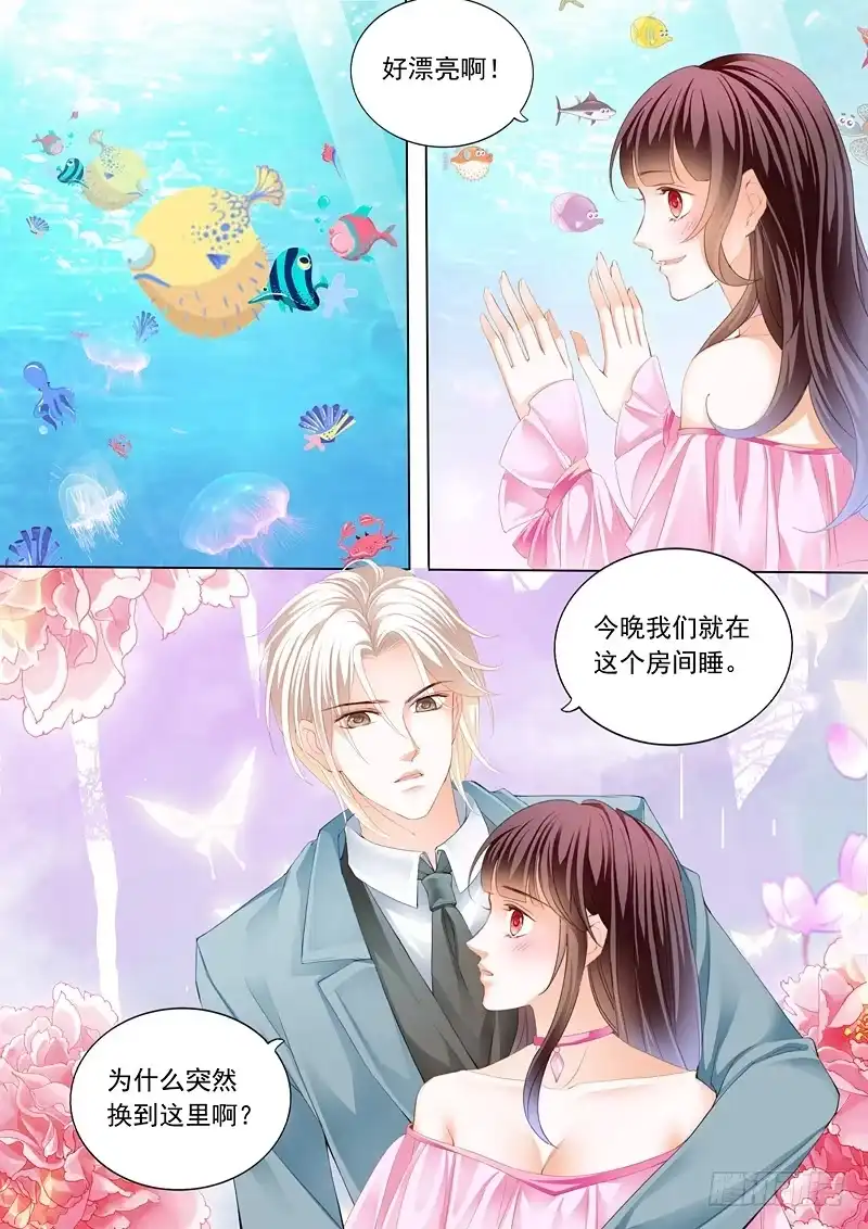 《闪婚娇妻》在鱼儿面前 第3页