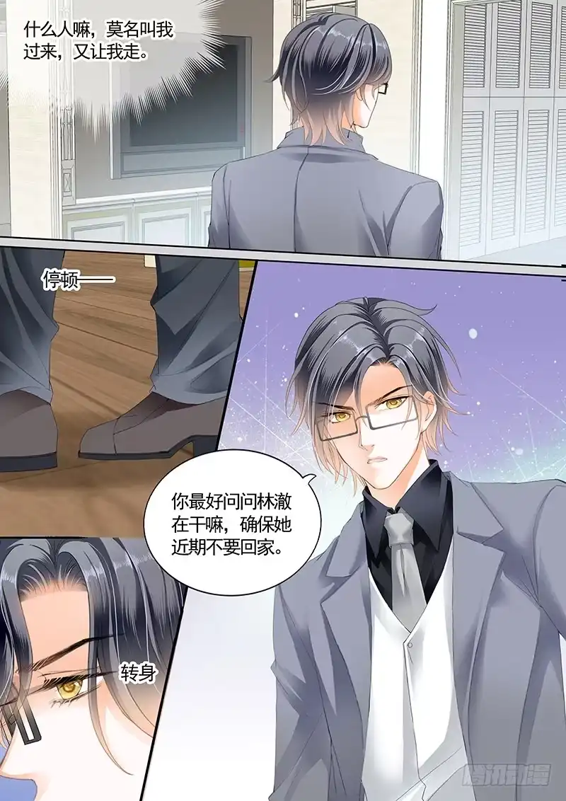 《闪婚娇妻》最大情敌的出现 第11页