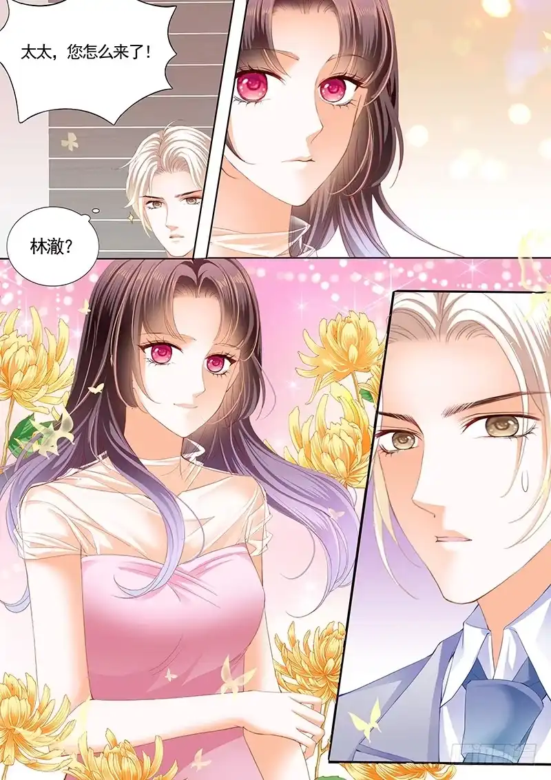 《闪婚娇妻》最大情敌的出现 第8页