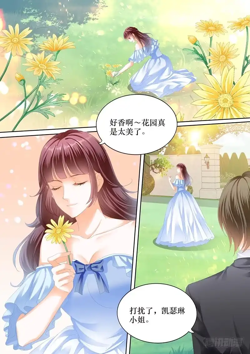 《闪婚娇妻》我已经有爱人了 第2页
