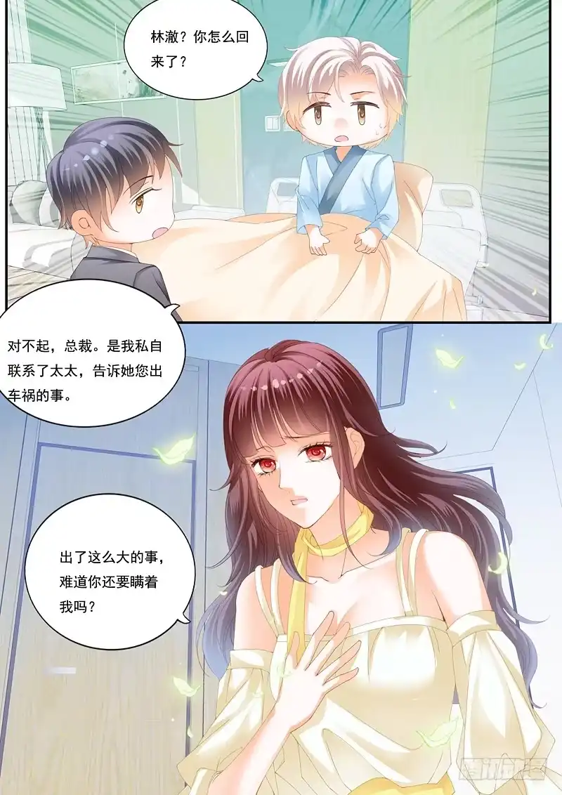 《闪婚娇妻》快来安慰我 第4页