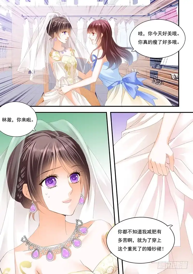 《闪婚娇妻》总统俞姐大婚 第6页
