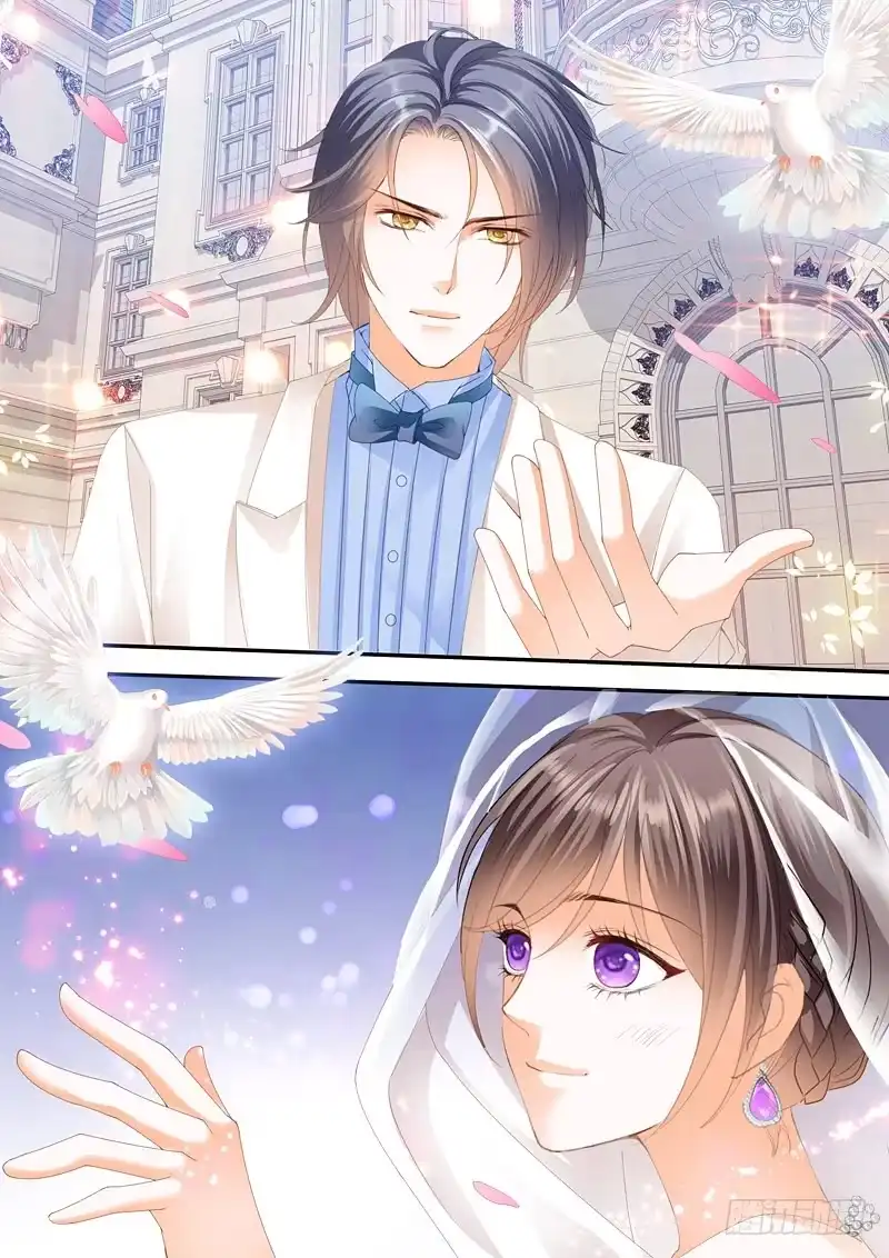 《闪婚娇妻》总统俞姐大婚 第11页