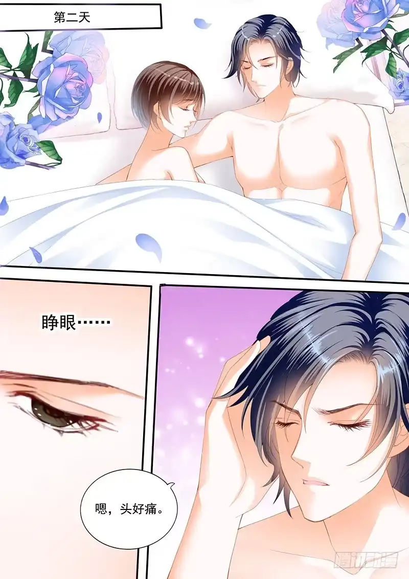 《闪婚娇妻》只想要正常的婚姻 第2页