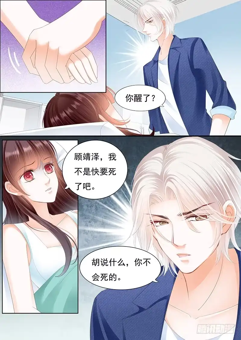 《闪婚娇妻》我不会让你死 第13页