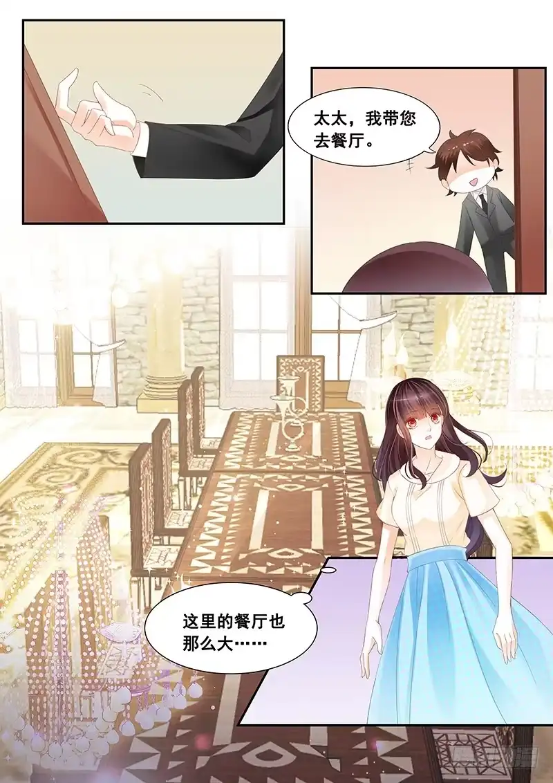 《闪婚娇妻》顾太太不需要节省 第6页