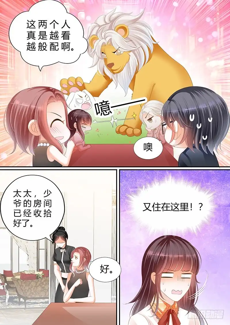 《闪婚娇妻》你脸红什么呢 第5页