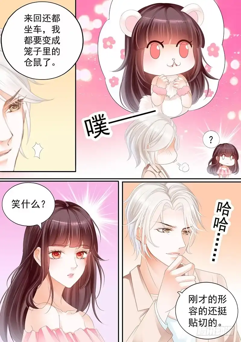 《闪婚娇妻》跟你一起去逛街 第17页