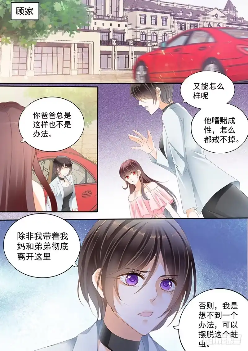 《闪婚娇妻》你答应的给我做菜 第7页