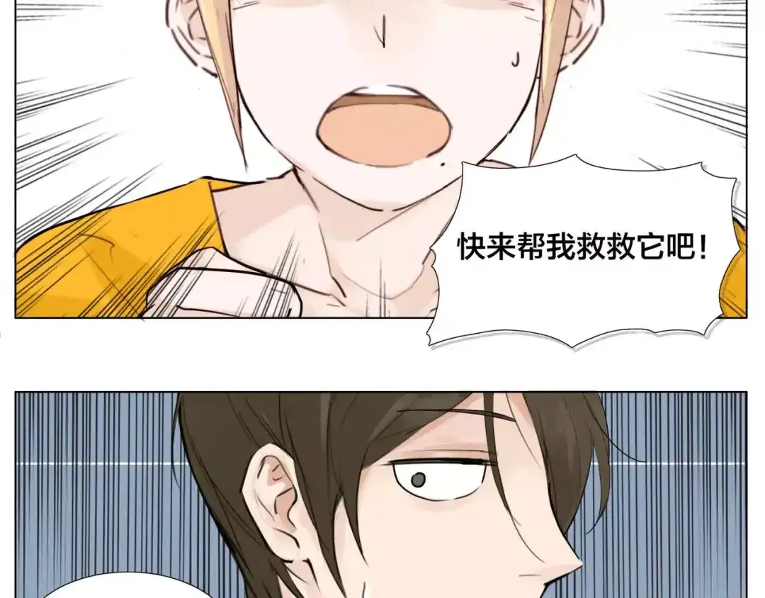 《闪恋薄荷糖》第10话 初次相遇 第65页