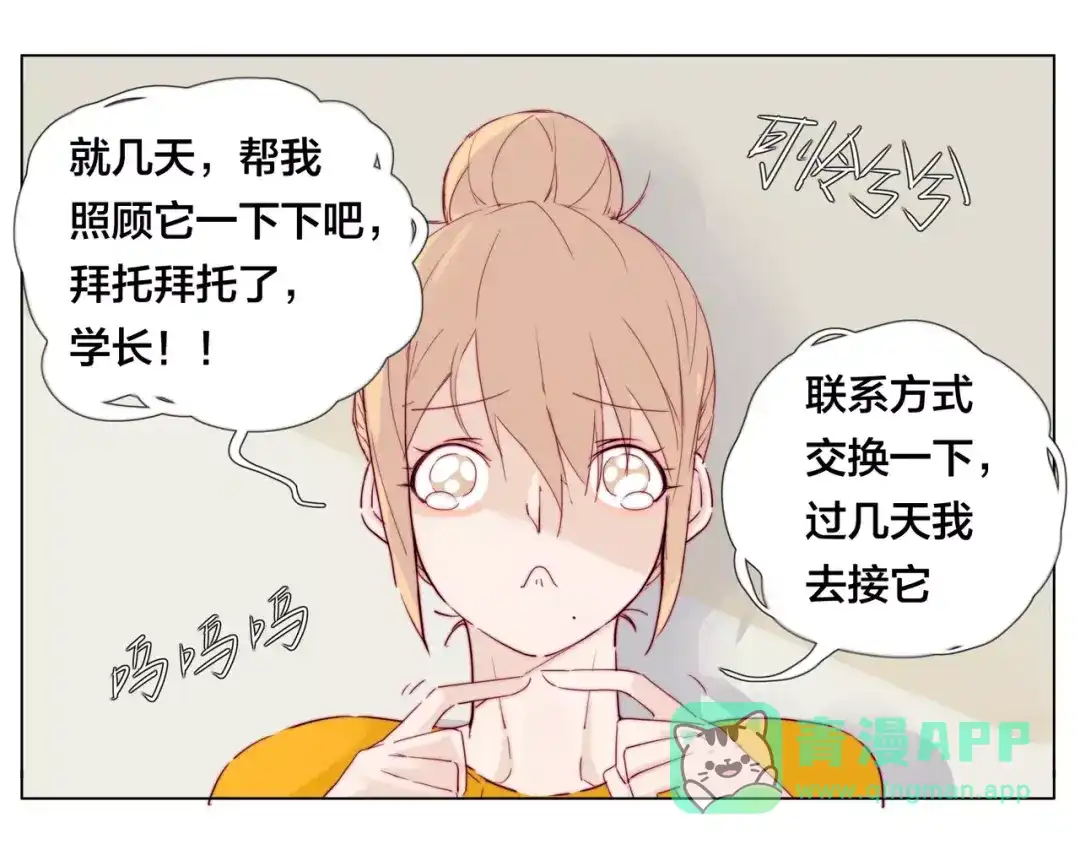 《闪恋薄荷糖》第11话 萌生好感 第41页