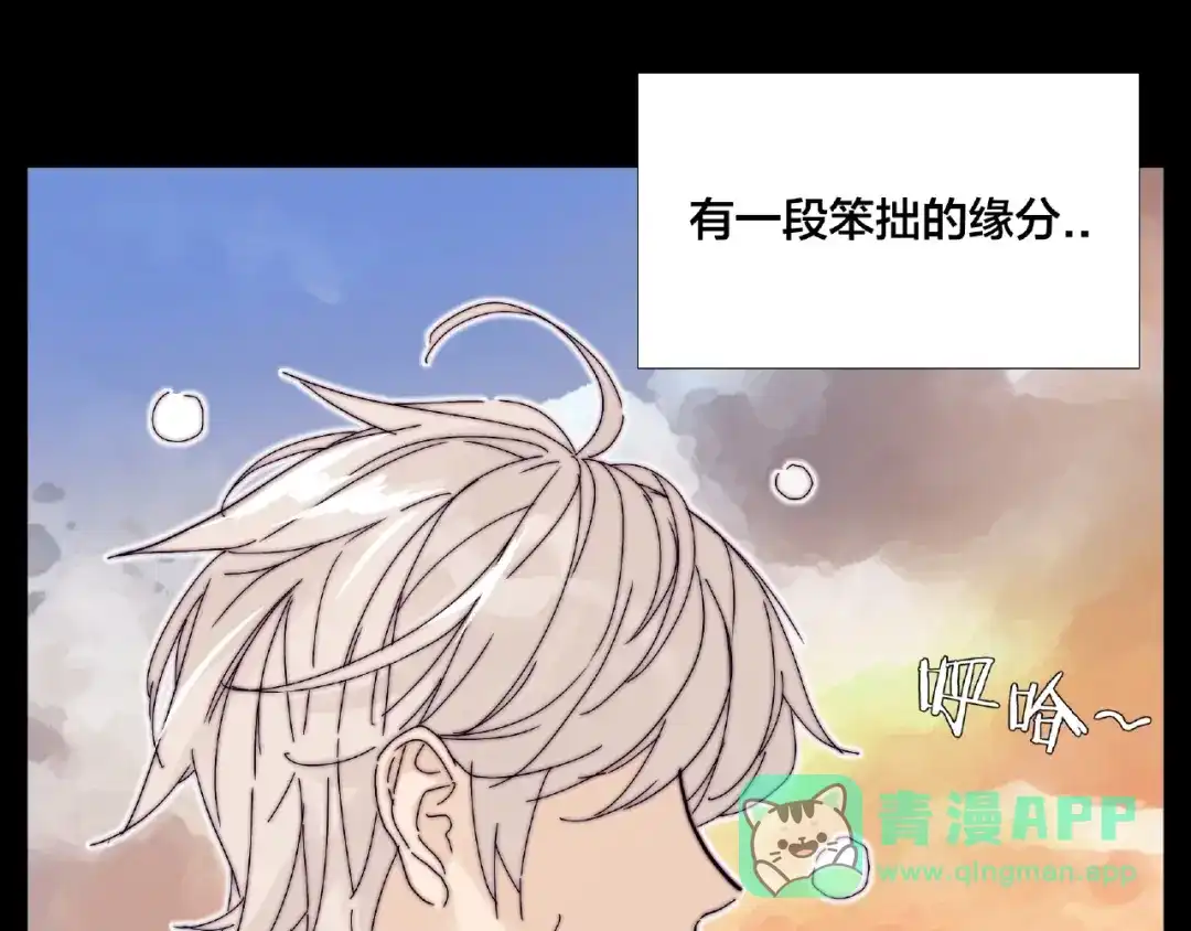 《闪恋薄荷糖》第118话 真命天子 第41页
