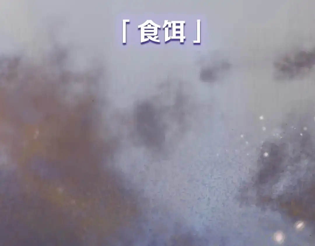 《山神与小枣》新作来啦！ 第8页