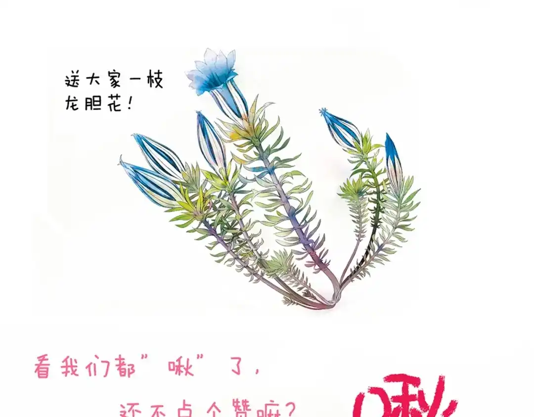 《山神与小枣》第51话 枯萎 第74页