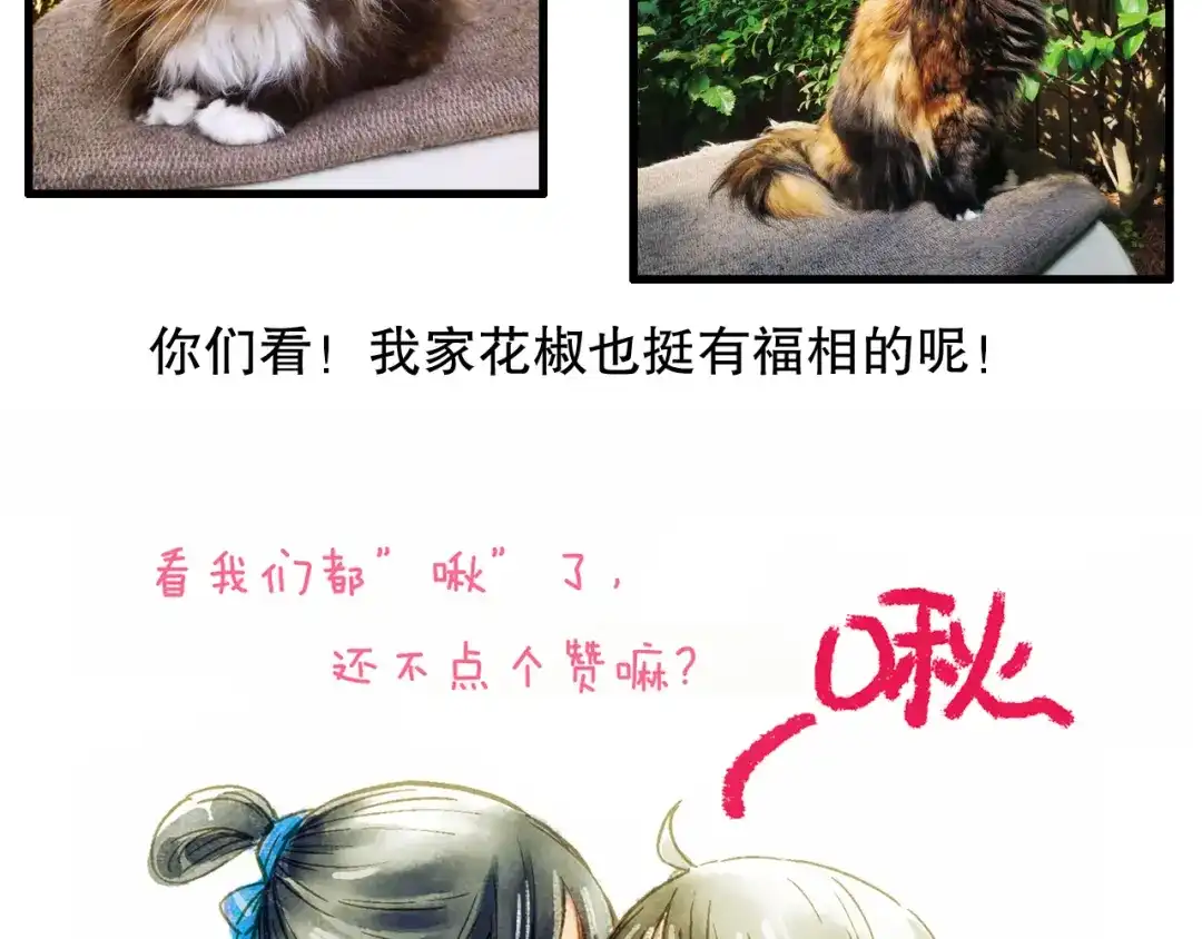 《山神与小枣》第66话 御姐福神强撩猷离 第109页